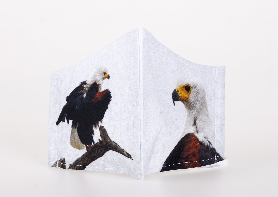 2021-african-fish-eagle
